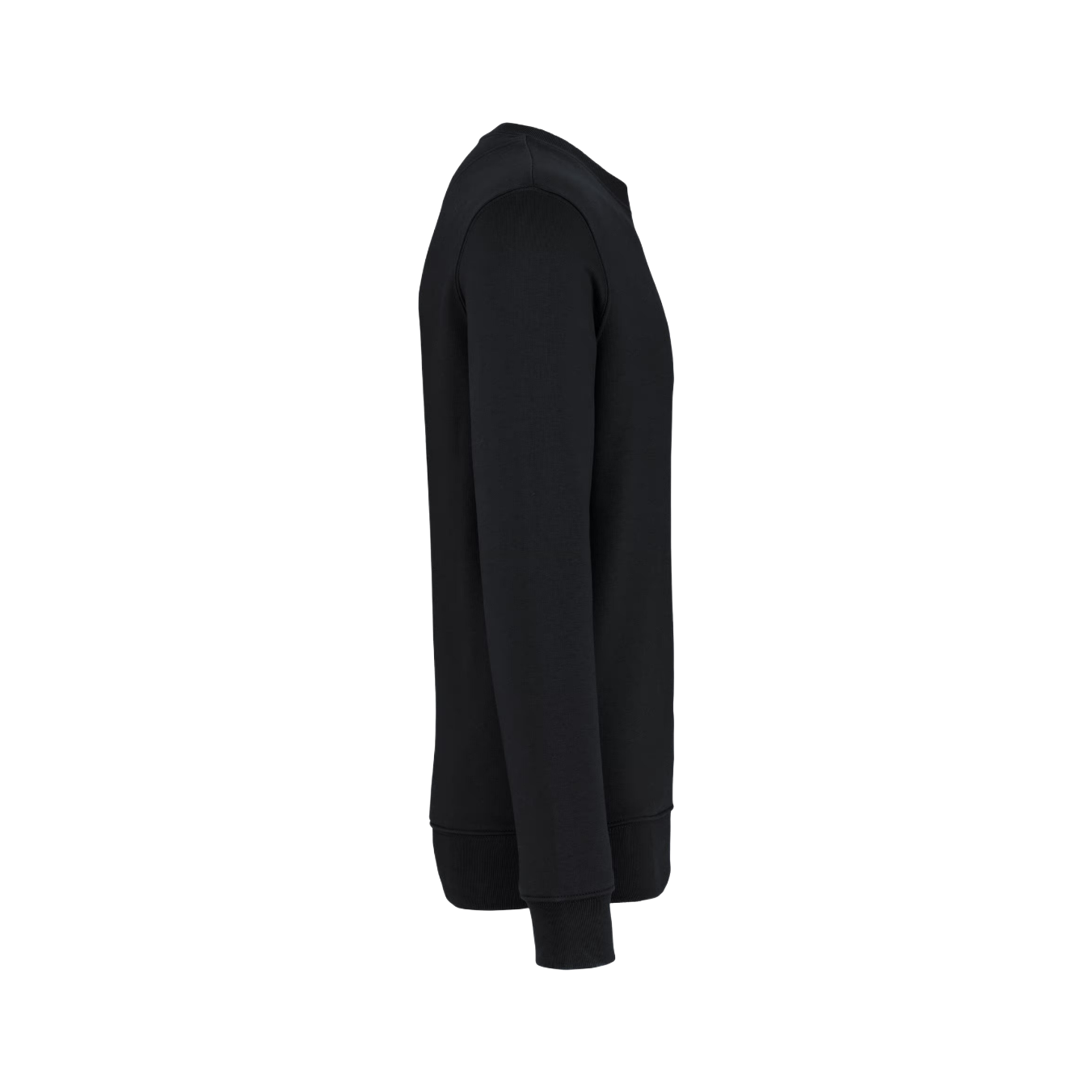 Sweatshirt 100% Algodão Orgânico Basics Unissexo